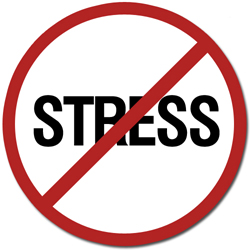 Stop Stress