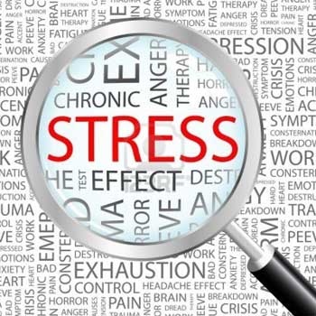 Eliminating Stress and Premature Ejaculation